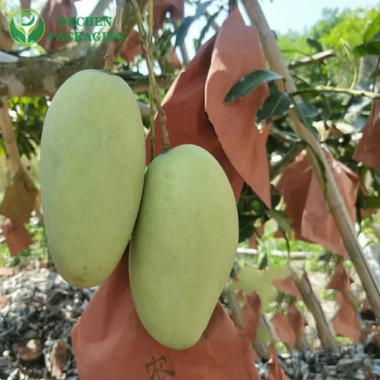 Saco de pacote de proteção para cultivo de frutas com sacos de cobertura de manga de dupla camada à prova d'água