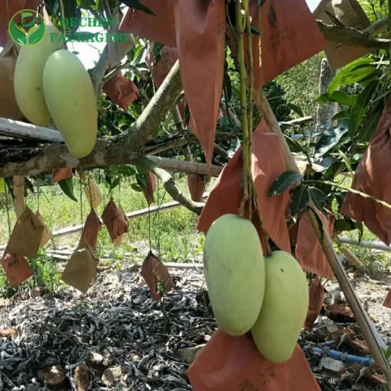 A proteção crescente impermeável do fruto ensaca o saco da tampa do ombro do papel da manga